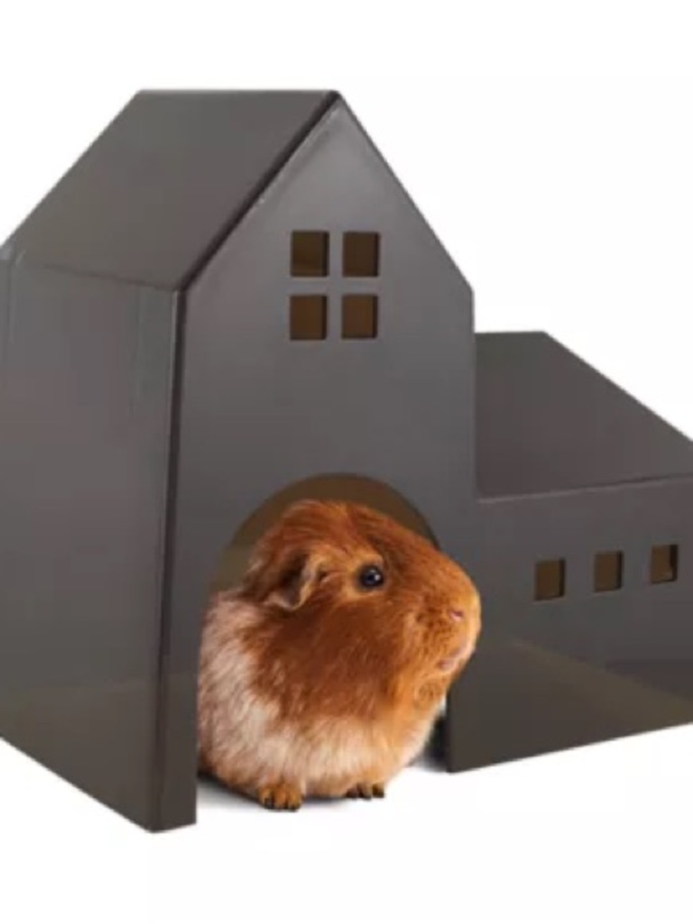 Full Cheeks™ Small Pet Tower Hideaway